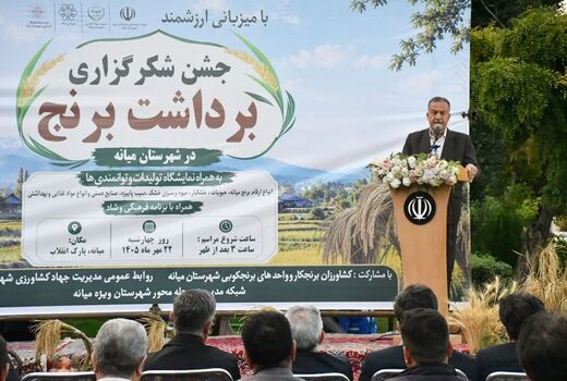 پایداری تولید برنج و تکمیل زنجیره ارزش محصولات کشاورزی در اولویت است