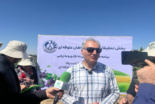 تغذیه مرغ با جایگزینی ۳۰ درصد رقم سورگوم فومن به جای ذرت