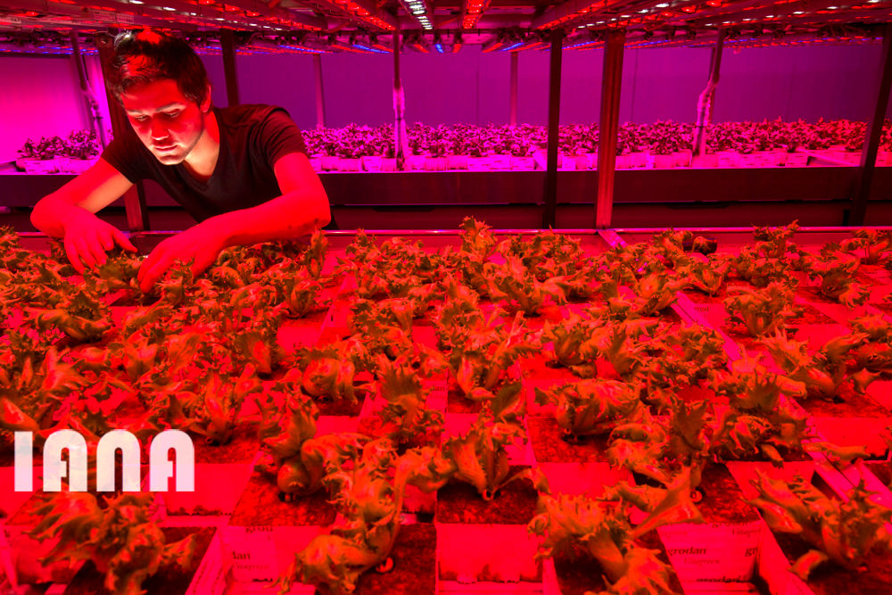 انقلاب غذا در اروپا