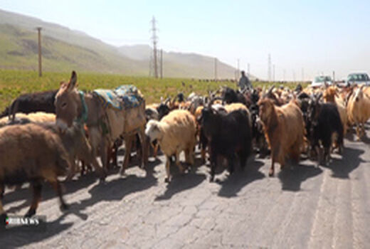 وقت کوچ قشلاقی عشایر سمیرم به جنوب کشور