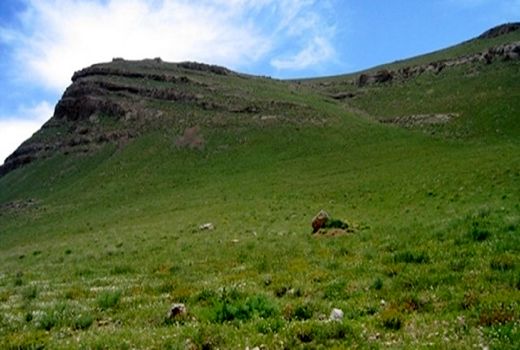  سه هزار هکتار از مراتع چهارمحال و بختیاری احیا شد 