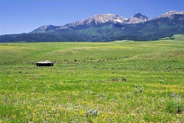 افزایش تولید علوفه در مراتع شیروان