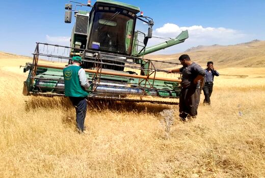 افزایش 37 درصدی خرید تضمینی گندم در آذربایجان شرقی