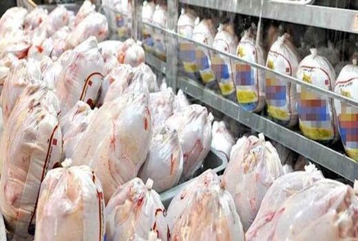 به دنبال شیوع بیماری کرونا، میزان مصرف گوشت مرغ در شیروان کاهش یافت