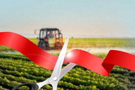 ۱۱۳ پروژه کشاورزی در استان تهران افتتاح می شود