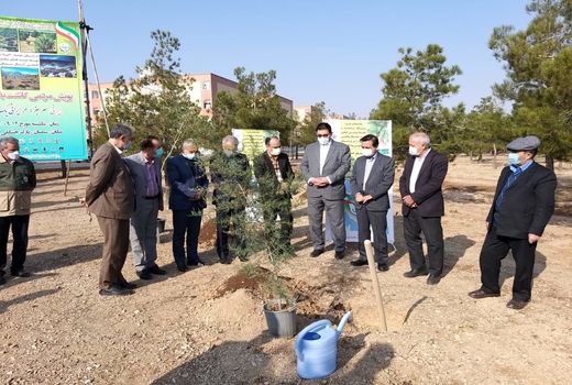 پویش مردمی بذرپاشی و بذر کاری در سطح 150 هکتار از عرصه های بیابانی سرخه
