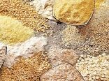 بازنگری در فرآیندهای تأمین نهاده‌ها؛ ضرورت امروز زنجیره تولید است