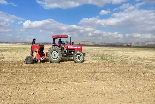 طرح کشت قراردادی گندم در چهارمحال و بختیاری آغاز شد