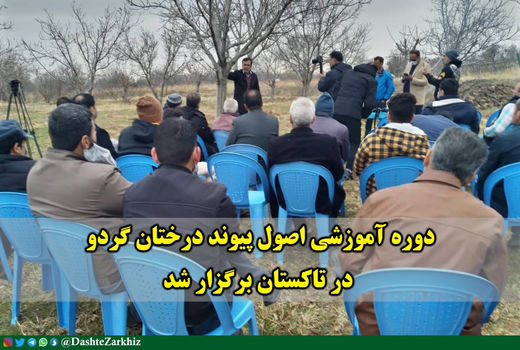 دوره آموزشی اصول پیوند درختان گردو در تاکستان