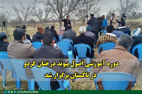 دوره آموزشی اصول پیوند درختان گردو در تاکستان