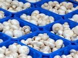چهار نرخ پر مصرف مشمول قیمت‌گذاری شد