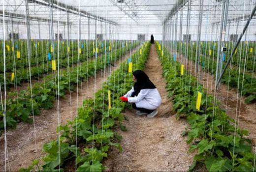 تغییر ساختار سازمان حفظ نباتات بازی با آتش است