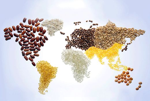 امنیت غذایی چالش جدی در جهان