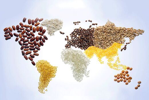 امنیت غذایی چالش جدی در جهان
