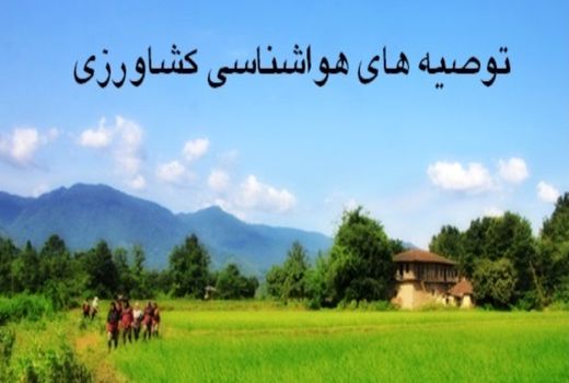 کشاورزان استان تهران از انجام عملیات سم پاشی و محلول پاشی تا دو روز آینده خودداری کنند