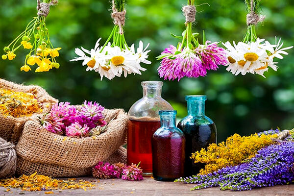 خلاقیت نیکبخت، عامل خروج تعاون روستایی از بحران