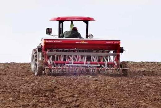 کشت محصولات پاییزه در 8 هزار هکتار از اراضی قائم‌شهر