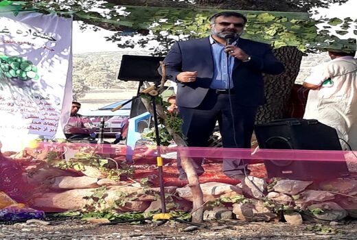 برگزاری سومین جشنواره غوره دشمن زیاری/ فارس، 15 درصد محصولات باغی کشور را تولید می‌کند
