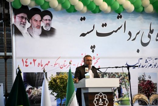 تولید پسته در بیش از هزار هکتار از اراضی بخش ایلخچی شهرستان اسکو