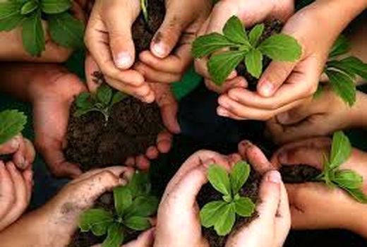 توانمندسازی و توان‌افزایی جوامع محلی در 24 روستای استان سمنان