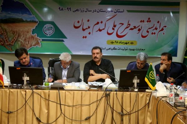 طرح ملی گندم بنیان در اولویت کار مراکز تحقیقات استان خوزستان است
