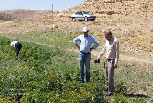 بازدید از انبار کارگزاری‌های خرید نهاده‌ها در شهرستان سمیرم