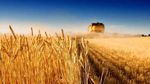 حرکت به سوی مدیریت مبتنی بر نتایج با افزایش سه‌ گانه کارآیی، اثربخشی و بهره‌وری 