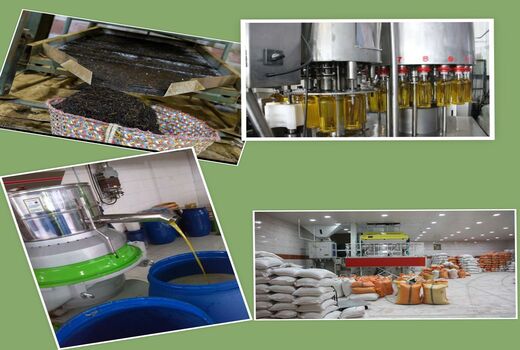 رونق تولید با افزایش ظرفیت های اشتغال محقق می شود