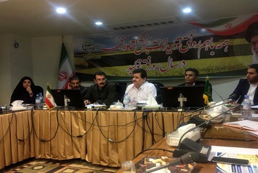 افزایش بهره‌وری در تولید با اجرای طرح ملی گندم بنیان در استان خوزستان