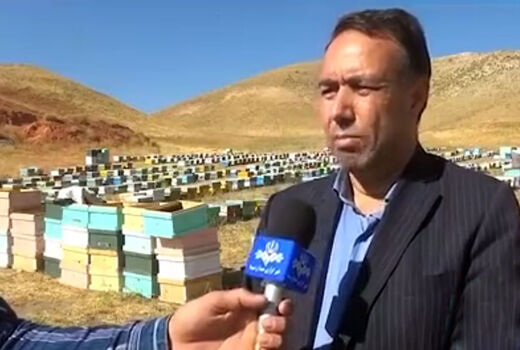 اولین جشن برداشت عسل  در شهرستان هشترود برگزار شد
