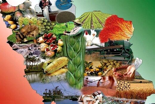 نظام‌های بهره‌برداری کشاورزی در مسیر توسعه پایدار

