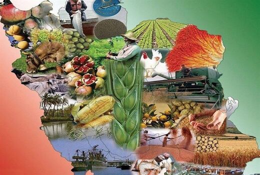 نظام‌های بهره‌برداری کشاورزی در مسیر توسعه پایدار

