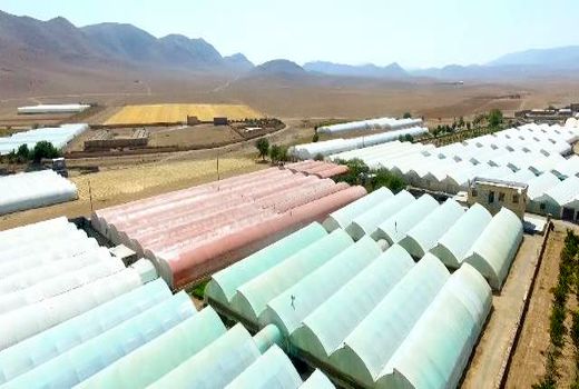 ایجاد گلخانه سبزی و صیفی به روش هیدرو پونیک در دهاقان