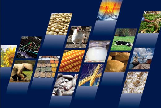 بالا رفتن بهای نهاده ها عامل افزایش قیمت فرآورده ها