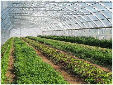 بررسی نهایی مطالعات توسعه شهرک های گلخانه ‌ای در شرق اصفهان