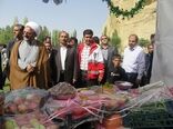 برگزاری نخستین جشنواره «سیب و سلامتی» در شهرستان ایجرود