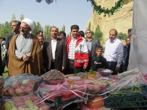 برگزاری نخستین جشنواره «سیب و سلامتی» در شهرستان ایجرود