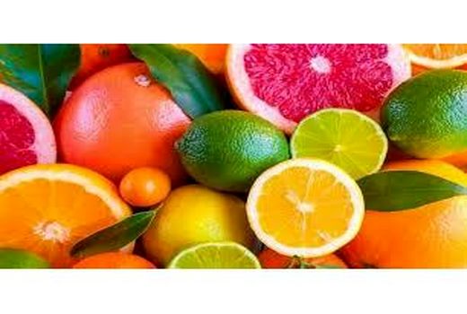 تولید 110 هزار تنی مرکبات در جویبار