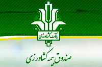 قرض پنج هزار میلیارد تومانی صندوق بیمه را دولت گردن گرفت/ صندوق بیمه ریالی اعتبار دریافت نکرده است