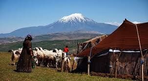 پرداخت تسهیلات ارزان قیمت برای اجرای طرح زنجیره تولید گوشت به عشایر البرز
