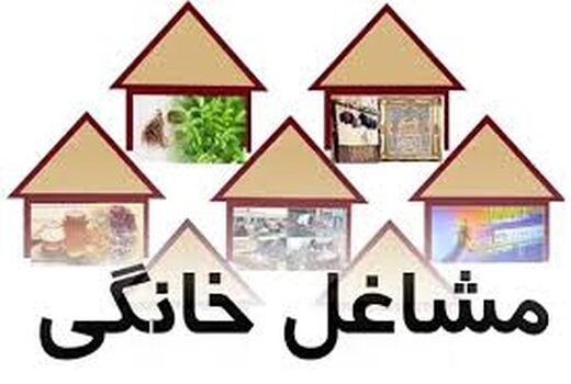 جذب 10 میلیارد ریالی تسهیلات مشاغل خانگی در لارستان 