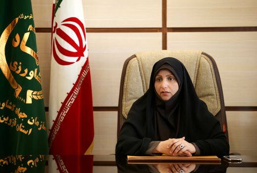 تولید گوشت مرغ در استان قزوین  5 برابر افزایش داشته است