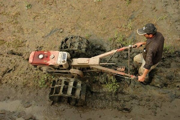 آغاز شخم زمستانی در شهرستان تالش