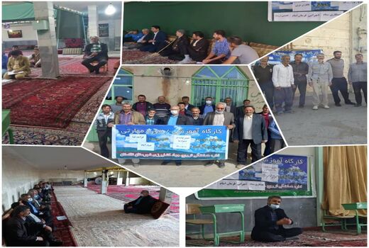 ۶ کارگاه آموزشی ترویجی طرح جهش تولید در دیمزارها در شهرستان تاکستان برگزار شد