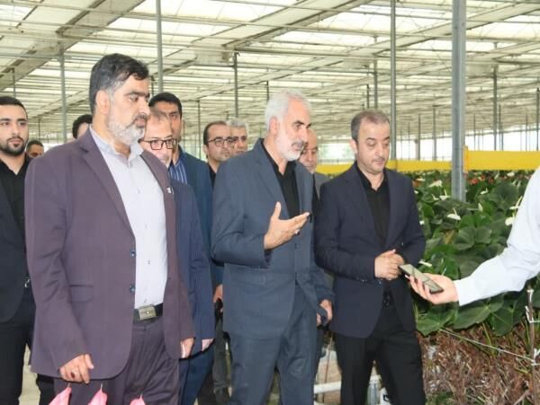 آموزش و مدیریت صحیح کلید موفقیت واحدهای تولیدی کشاورزی است