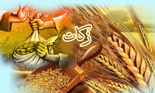 کشاورزان شهرستان قدس امسال 150 میلیون ریال زکات پرداخت کردند
