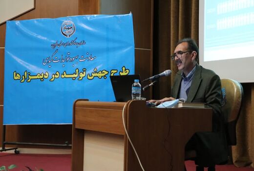 افزایش ۳۰ درصدی تولید محصول دیم کشور با وجود خشکسالی