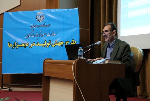 افزایش ۳۰ درصدی تولید محصول دیم کشور با وجود خشکسالی