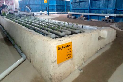ظرفیت تولید 10تنی در مزرعه مکانیزه آکواپونیک پرورش ماهی شهرستان کرمان