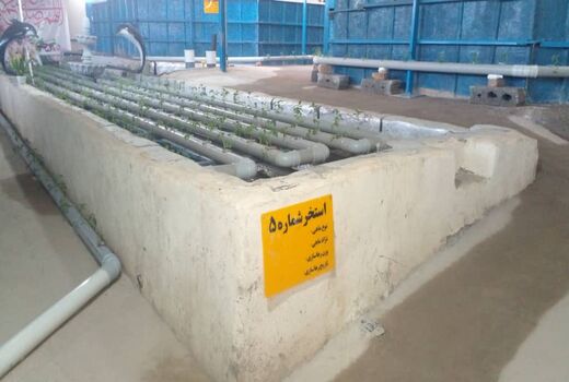 ظرفیت تولید 10تنی در مزرعه مکانیزه آکواپونیک پرورش ماهی شهرستان کرمان
